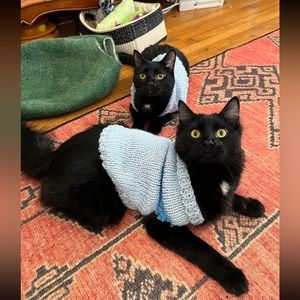 Meet your Posher, Haley